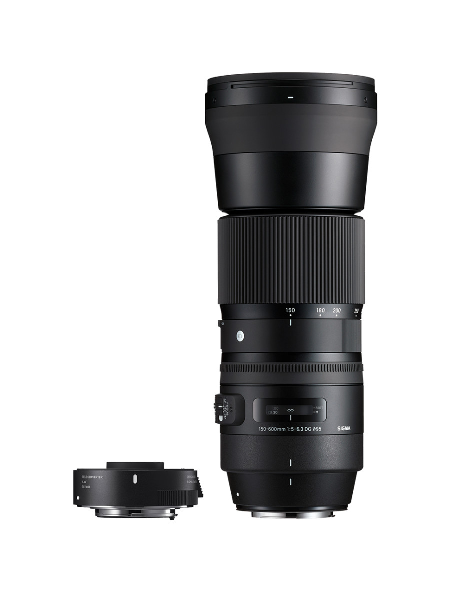 CONTEMPORARY 150-600mm F5-6.3 DG OS HSM + TC-1401 1.4x Teleconverter