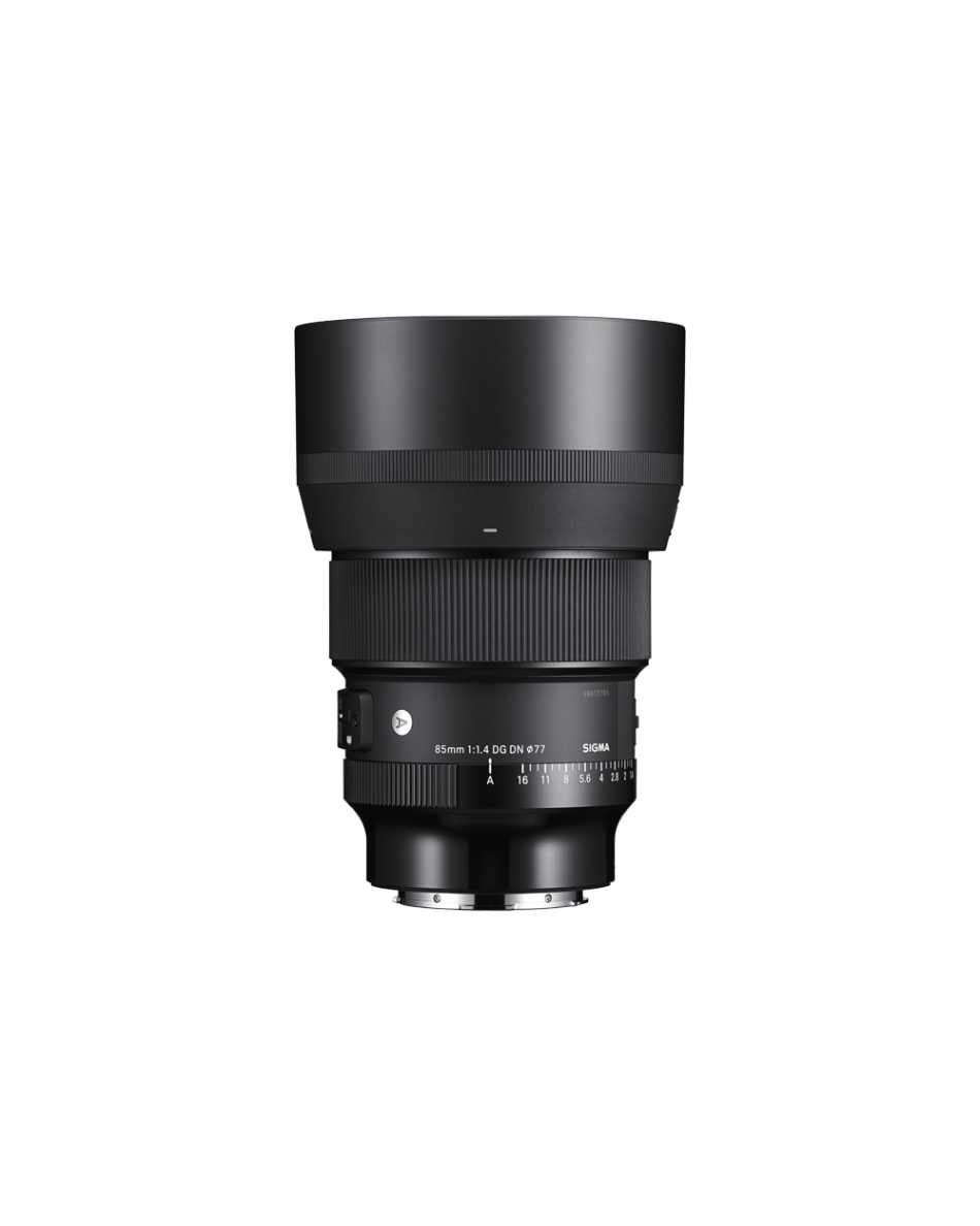 ART 85mm F1.4 DG DN